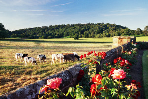 file000775847444 (1)