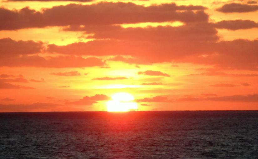 ACT, its best friend COMPASSION, and HIGH EMOTION