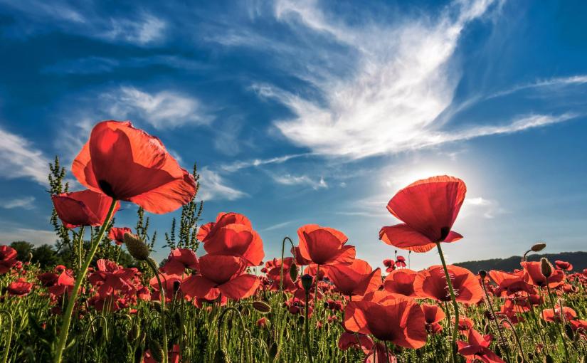 ACT, its best friend COMPASSION, and THE REAL THING